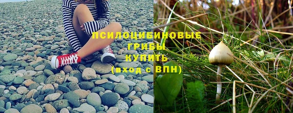 герыч Алзамай