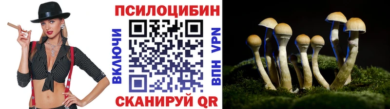 Псилоцибиновые грибы Cubensis  Купить закладки  Красный Холм 